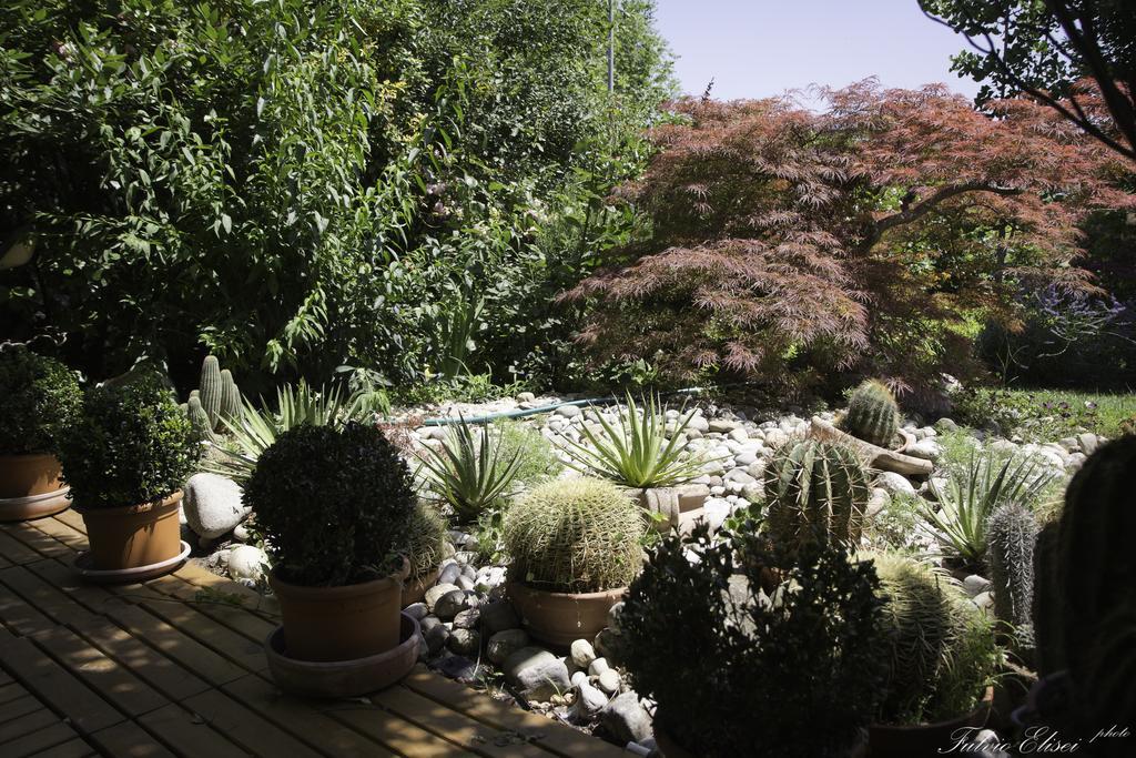 Bed and Breakfast Teapot House Perugia Exterior foto